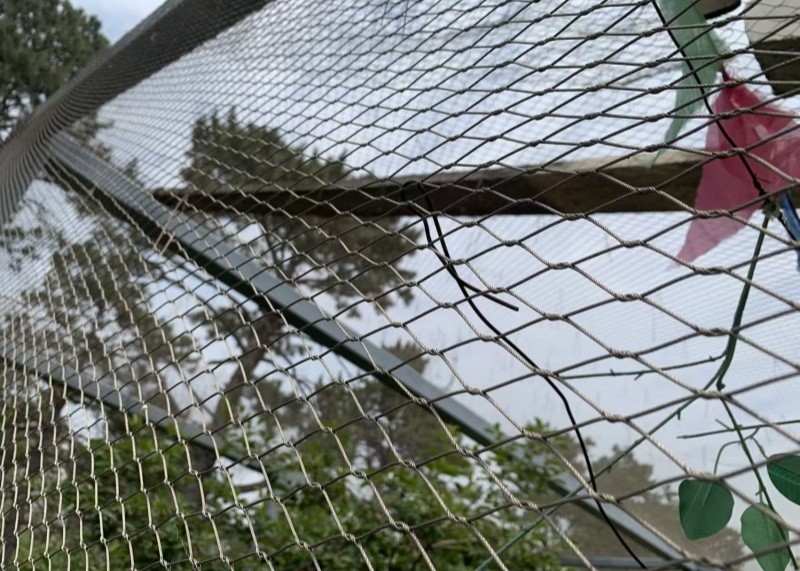SS304 1.5mm 22mm Wire Rope Stainless Steel Cable Netting For Aviary Fencing