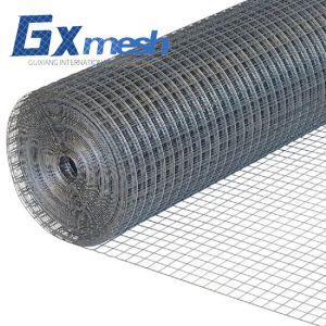 Welded gabion fence iron wire mesh galvanized welded wire mesh chicken pens for