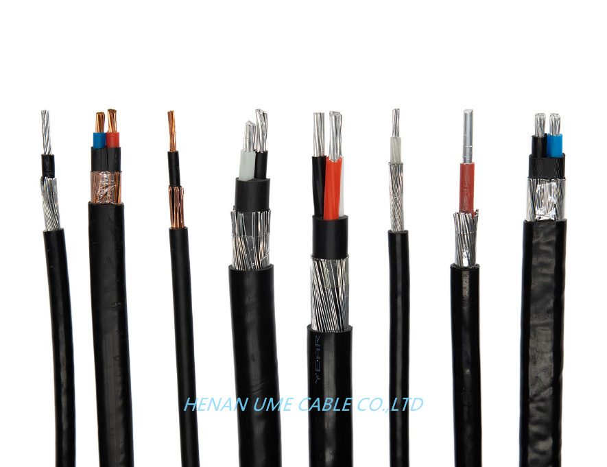 Service Entrance Cable 2/3cores 2X8 2X10 3X6 3X8 AWG Concentric Cable