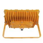 Explosion Proof Led Work Light With 50W/100W Long Lifespan LED Flood Light, High