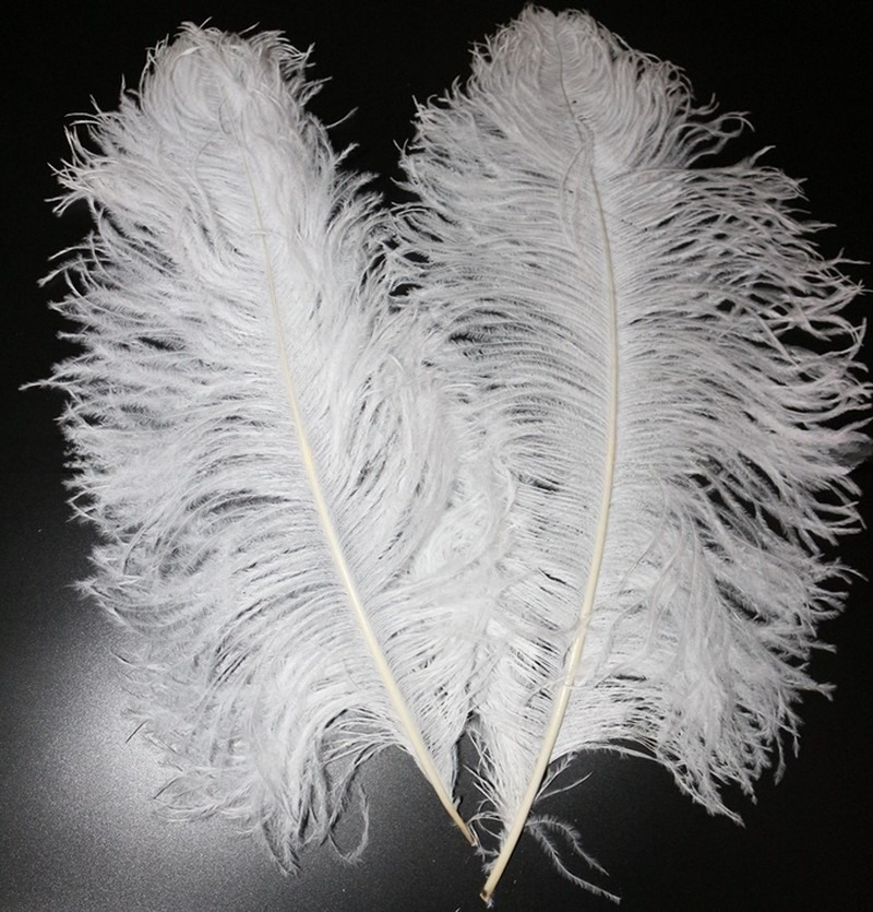 Hat Decoration Millinery Feather Small Ostrich Plumes Feather for Events