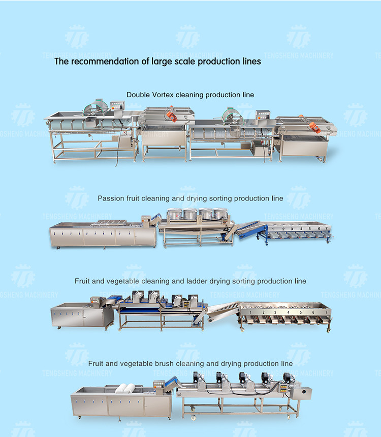 1500KG/H Agricultural products equipment, root and stem peeling cleaning machine, horseshoe cleaning and mud removal mac