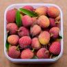 Buy cheap Stainless Steel Modified Atmosphere Packaging Machine For Fresh Litchi from wholesalers