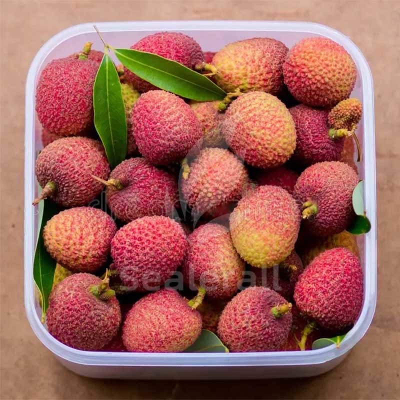 Stainless Steel Modified Atmosphere Packaging Machine For Fresh Litchi