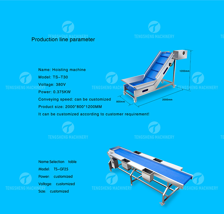 1500KG/H Fruit And Vegetable Processing Line cleaning Sorting Machine