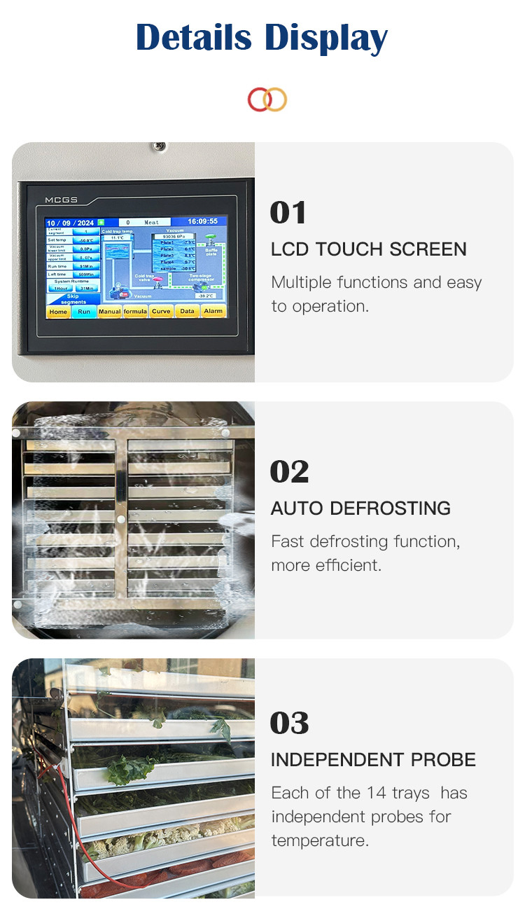 Multi-Function Lab Commercial Vegetable Snack 60KG Vacuum Freeze Dryer Lyophilizer Machine
