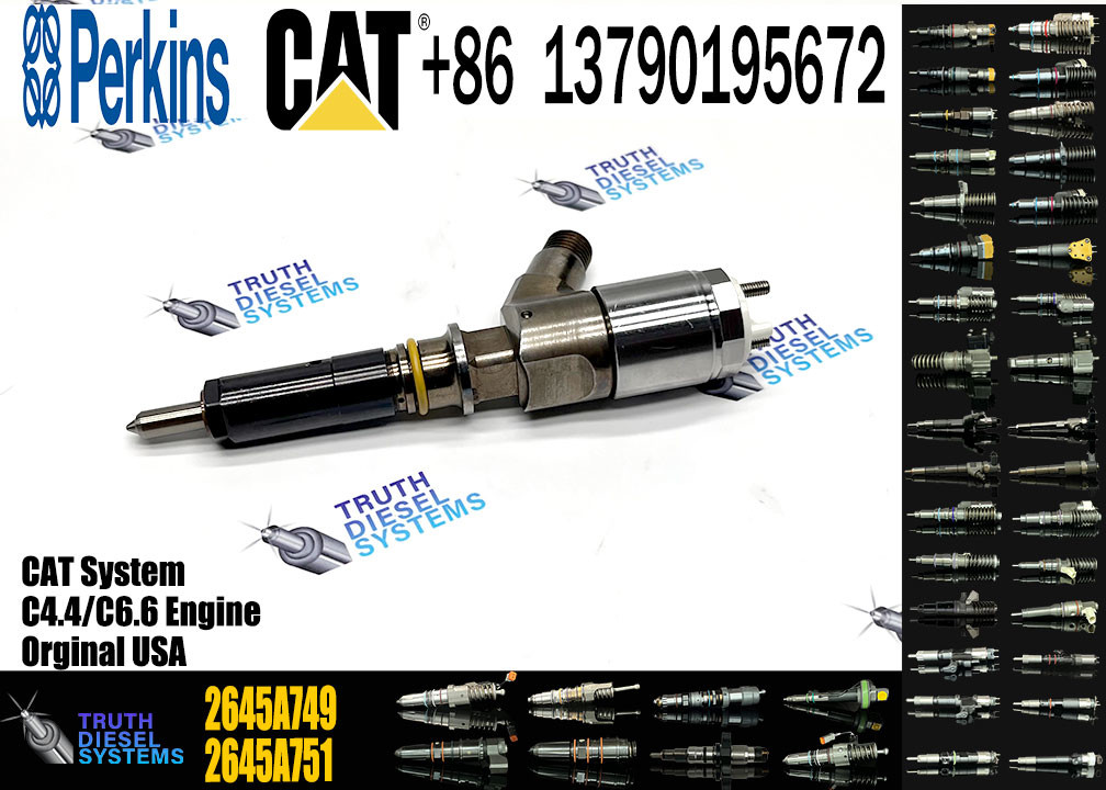 High Quality Diesel Fuel Injector 2645A753 2645A746 2645A749 306-9390 310-9067 2645A751 320-0655 320-0688
