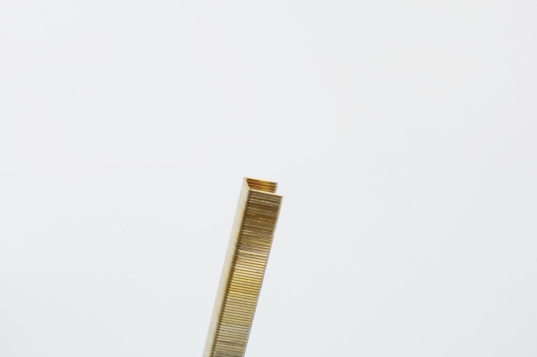 Top-Rated 22 Gauge 1410 Staples for Upholstery with High Quality 14 Series