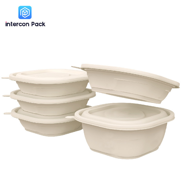 Ovenable Paper Food Tray With Lid 540ml Sugarcane Bagasse Matrial