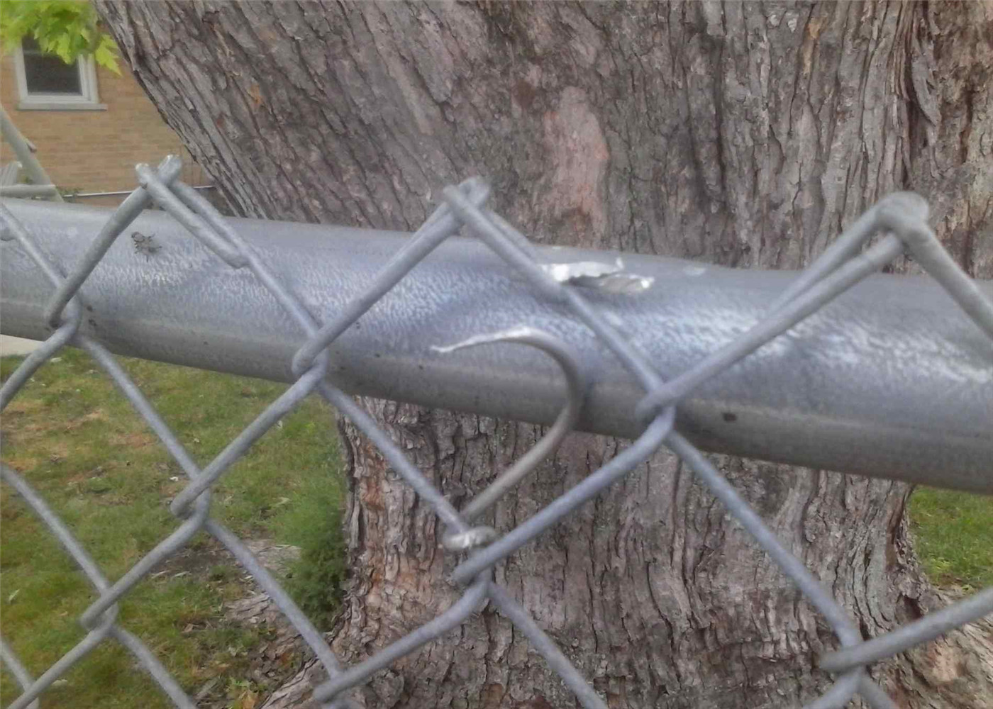 Hot Sale Galvanized Chain Link Fence Manufactuers
