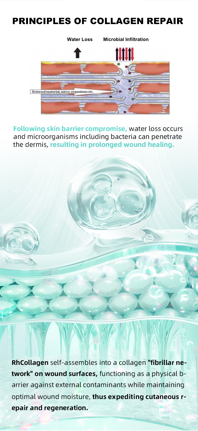 Cosmetics Private Label Collagen Facial Sheet Mask Moisturizing Pore Tightening Bio Collagen Face Mask