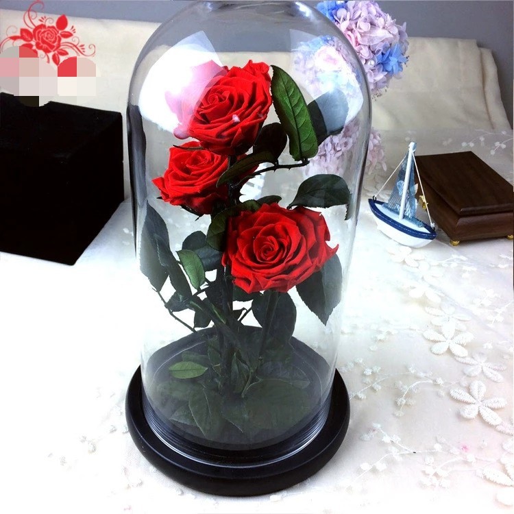 Hot sale Natural Fresh flower rose in big long glass dome Home Decoration and Christmas gift