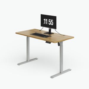 Customization Home Office Electric Standing Desk With Cable Storage
