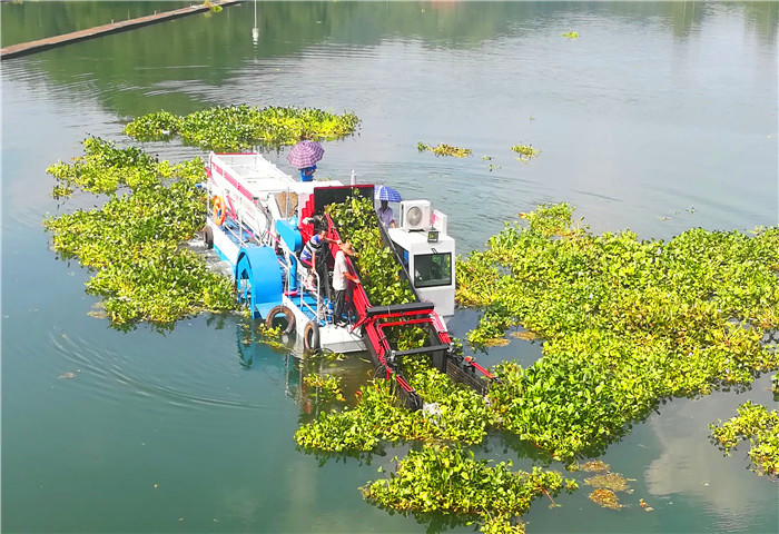 Self Propulsion 10M2 Body Pond Weed Harvester River Weed And Floating Cleaning