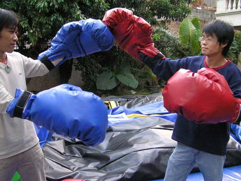 sumo wresting