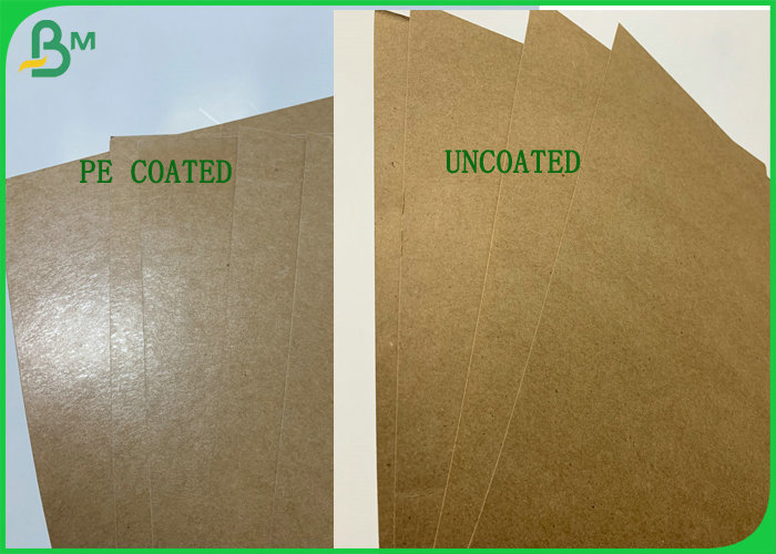 Oilproof 250g + 10g PE Coated Food Grade Brown Kraft Paper In Roll  