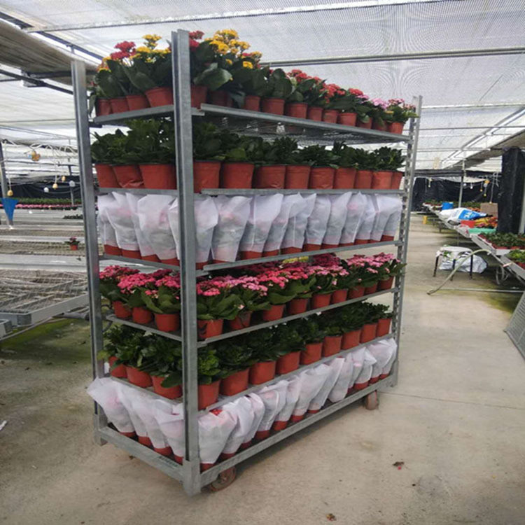 Hot Dip Galvanized Plywood Material Flower Trolley Heavy Wheel Easy To Install