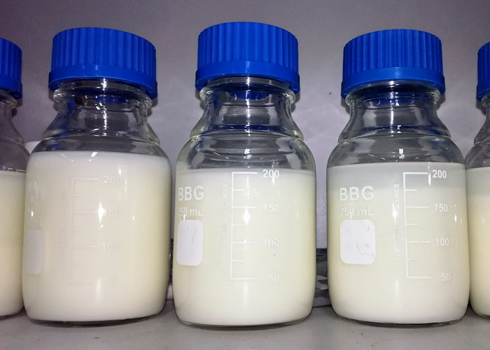 Food Grade Polyglycerol Esters Of Fatty Acids PGE155 For Shortening