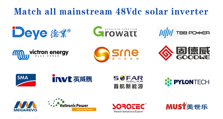 51.2V Solar Power Storage Batteries 100ah 200ah 48V Lithium Ion Energy Storage Battery