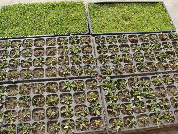 Auto Tray Seeding Sowing Machine With Trays for Vegetable Seed Sowing 28X54CM Plat Size