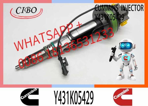 Factory Outlet OEM Quality Brand New Diesel Fuel Injector Y431K05558 Y431K05417