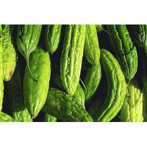 Bitter Melon Pure Extract, Charantin 4%, Chinese herbal extract manufacture,