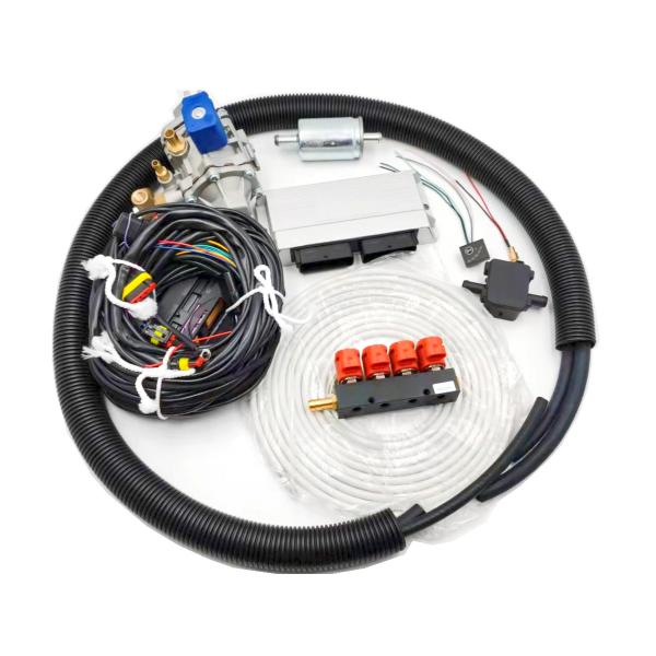 LLANO Mini Natural Gas Vehicle Conversion Kits CNG Conversion Kits For Petrol
