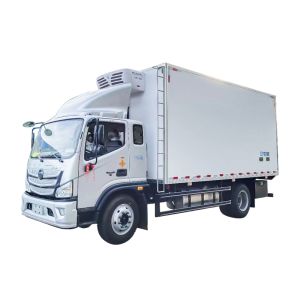 China ≤500Nm Maximum Torque Manual Transmission Refrigerated Truck for Food and Seafood Preservation 4x2m 6x8m on sale