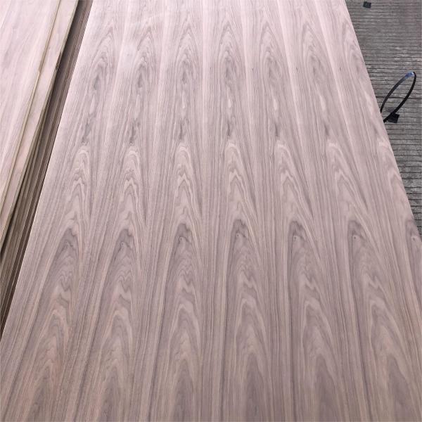 Factory Price Black Walnut Veneer Cabinet Wardrobe Wooden Door Wall Panel