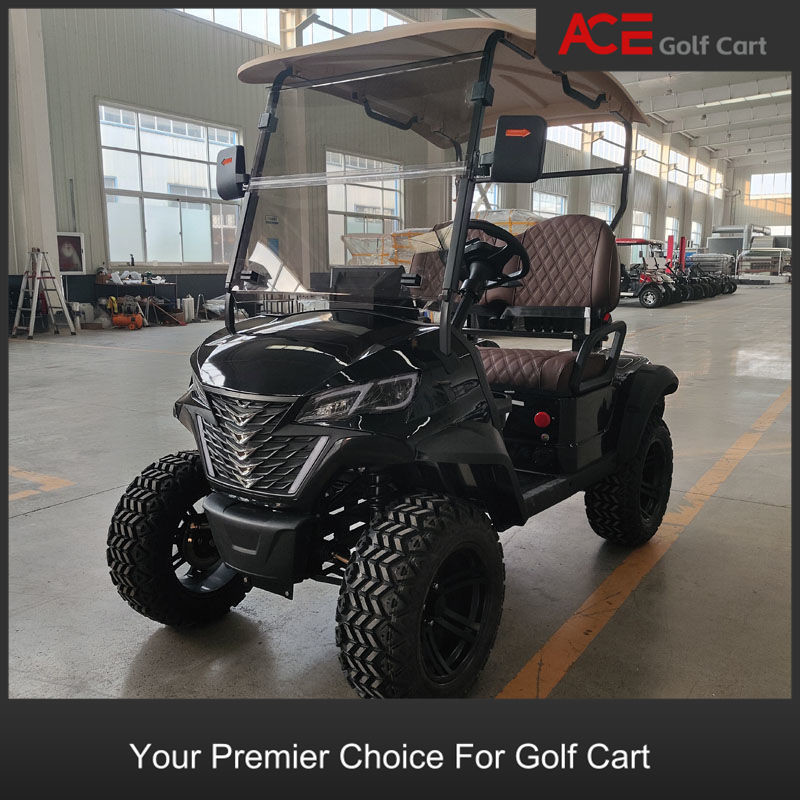 4 Wheel Electric Mini Golf Cart 2 Seaters Club Car Black Color