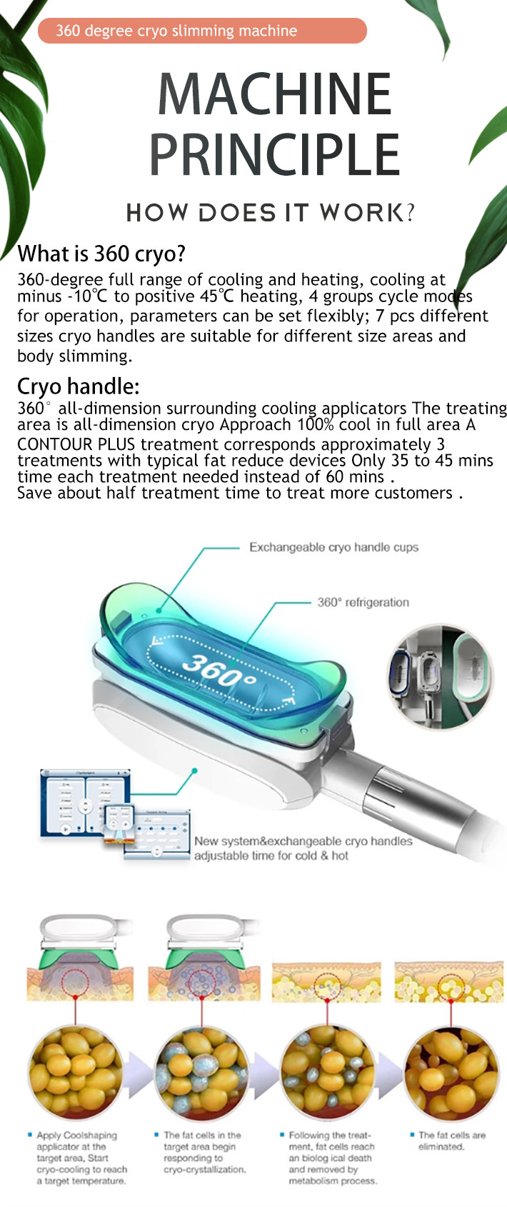 LF-265A 5 Cryo Handles 360 Cryolipolysis vacuum cavitation rf lipo laser Slimming Machine with Reduce Double Chin handle