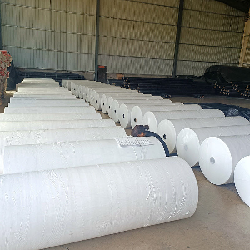 Big Bag PP Woven Sack Fabric , 60-220GSM Polypropylene Woven Fabric Roll