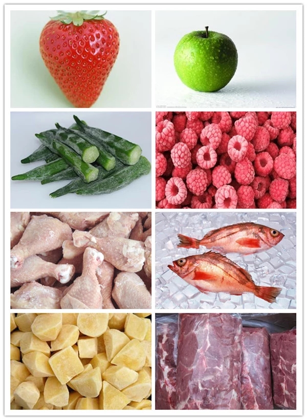 100kg/H SS304 Quick Freezer Vegetables Food Freezing Machine