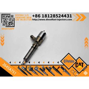 Common Rail Injector 320-0655 3200655 2645A751 Diesel Fuel Injector 2645A751 for