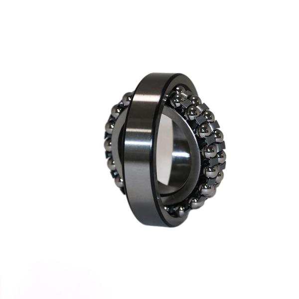 1211k High Precision Self Aligning Ball Bearing 55x100x21mm Original Ball