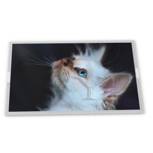 China 19.0-Inch WLED Display Module LQ190E1LX65 TFT LCD with 1280*1024 Resolution LED Backlight COB Type on sale