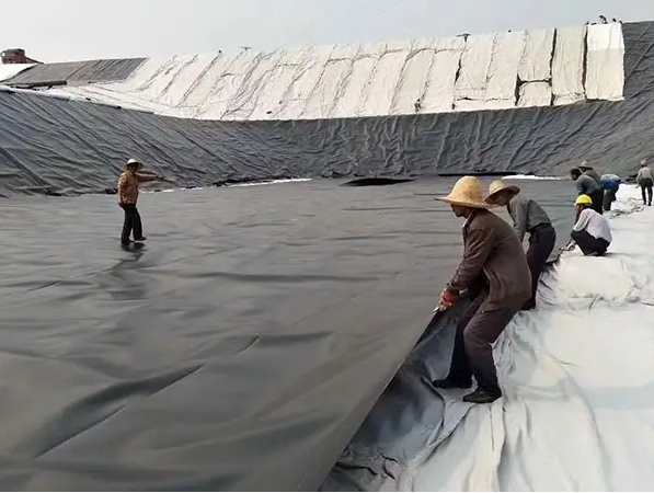 Length Client's Requirement HDPE Geomembrane Waterproof for Fish Farm Pond Liner Sheet