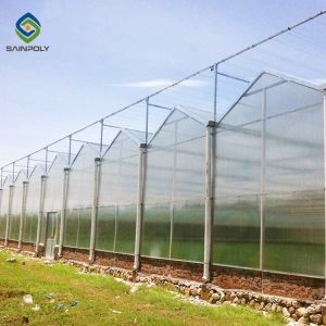 120km/H Multi Span Polycarbonate Greenhouse With Irrigation System