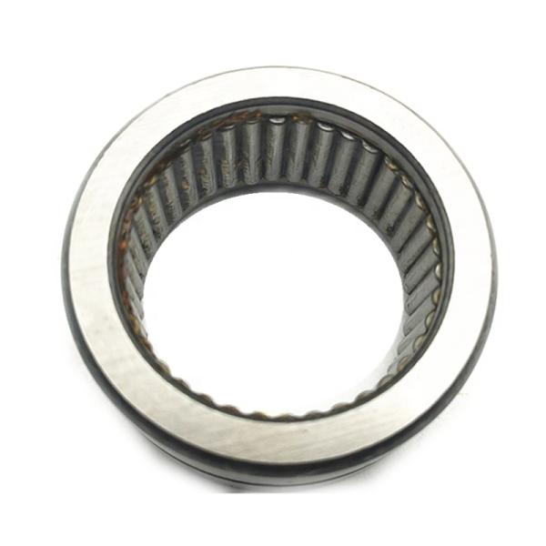 RNAV 4924 Full Complement Needle Roller Bearing Without Inner Ring RNAV4924 Sizes 135x165x45 Mm