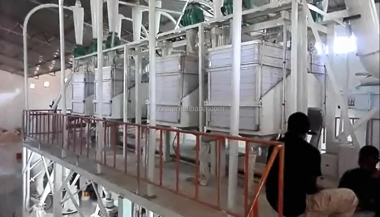 Cameroon 50t/24h Complete Maize Flour Mill Grits Machine Corn Milling Line in Turkey