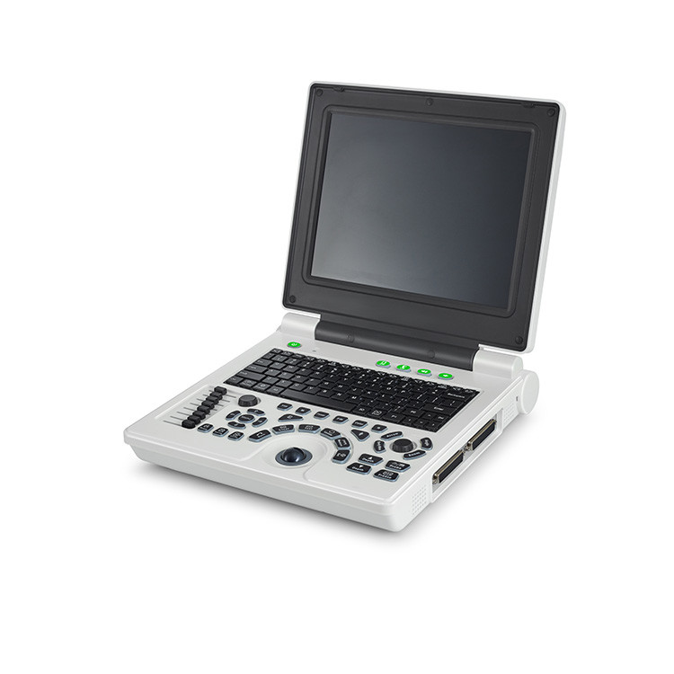 2mm Veterinary Ultrasound System 2-12mhz Pets Farm Animals