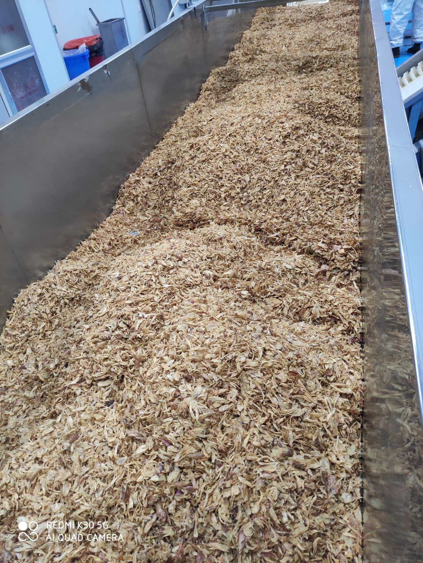 Golden 30*30mm No Additives Crispy Hot Dog Onions