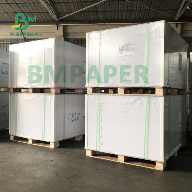 Food Grade Contact With Food Cup Stock Paper For Noodel Bowl 700mm X 1000mm