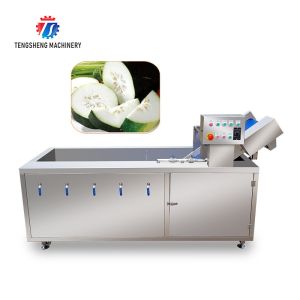 Buy cheap Canteens Turbidity Reduce Fruit And Vegetable Washing Machine Sediment Discharge from wholesalers