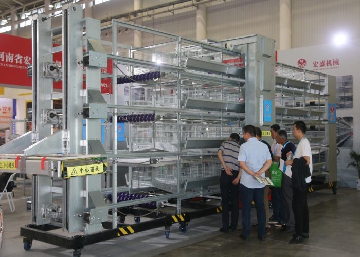 8 Tiers Poultry Farm Feeding System Smooth Surface Save Energy Consumption