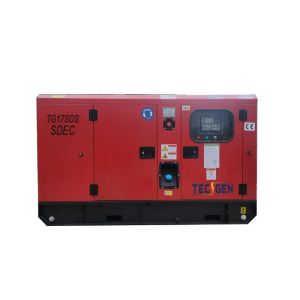 15kVA Diesel Generator Set With Silent Enclosed Canopy Equipped With Built In