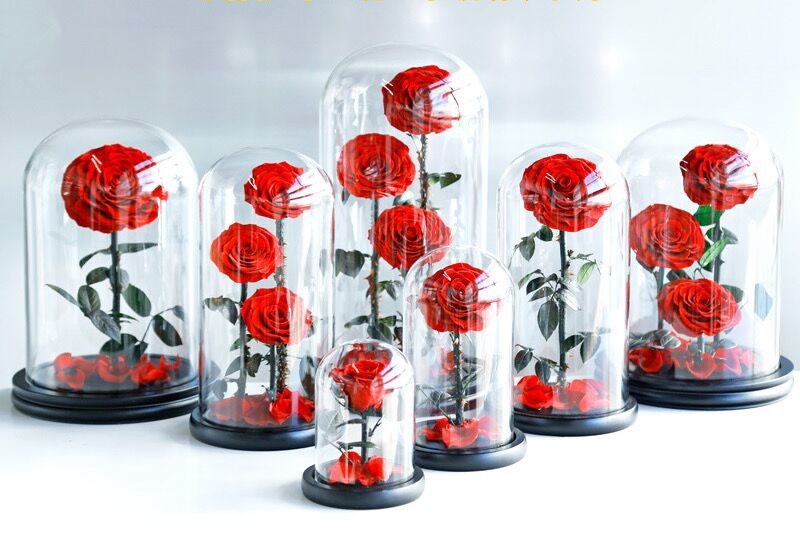 Beautiful Rose Flowers Everlasting Rose Preserved Flower Eternal Rose in Glass