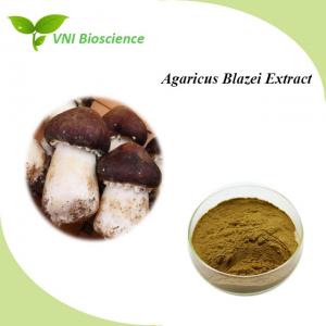  Anticancer Organic Plant Extracts / Agaricus Blazei Murill Mushroom Extract ISO Manufactures