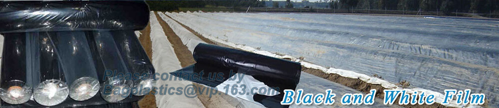 Transparent / Black / Silver / White color Plastic PE LDPE Agriculture Mulching Film,panda strawberry mulch film/black w
