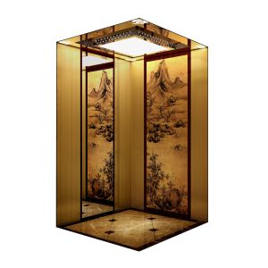  Homelift, Load 320KG-1600KG, Speed 0.4-1.0m/s Manufactures